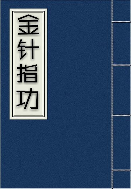 武当绝技 金针指