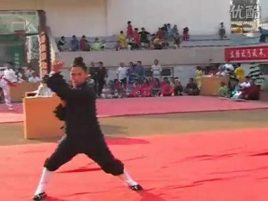 武当玄武拳