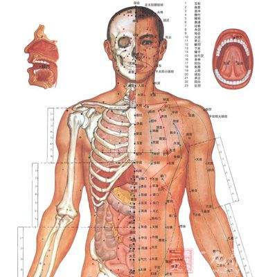 男女人体穴位大全图--清晰可用